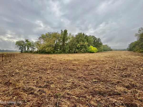 $220,000 | Youngblood Road, Dundee, MS 38626