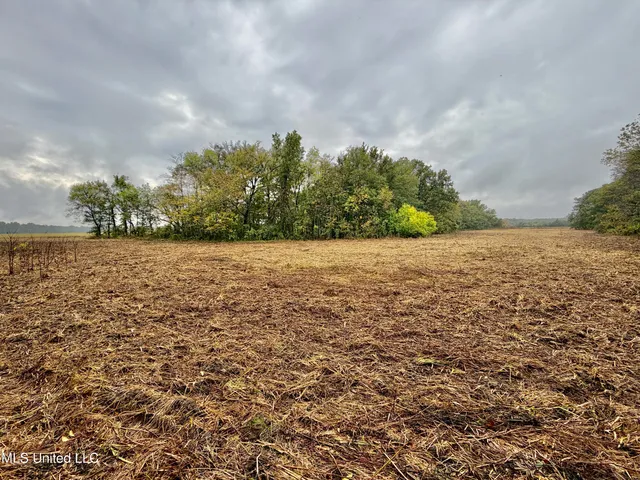 $220,000 | Youngblood Road, Dundee, MS 38626