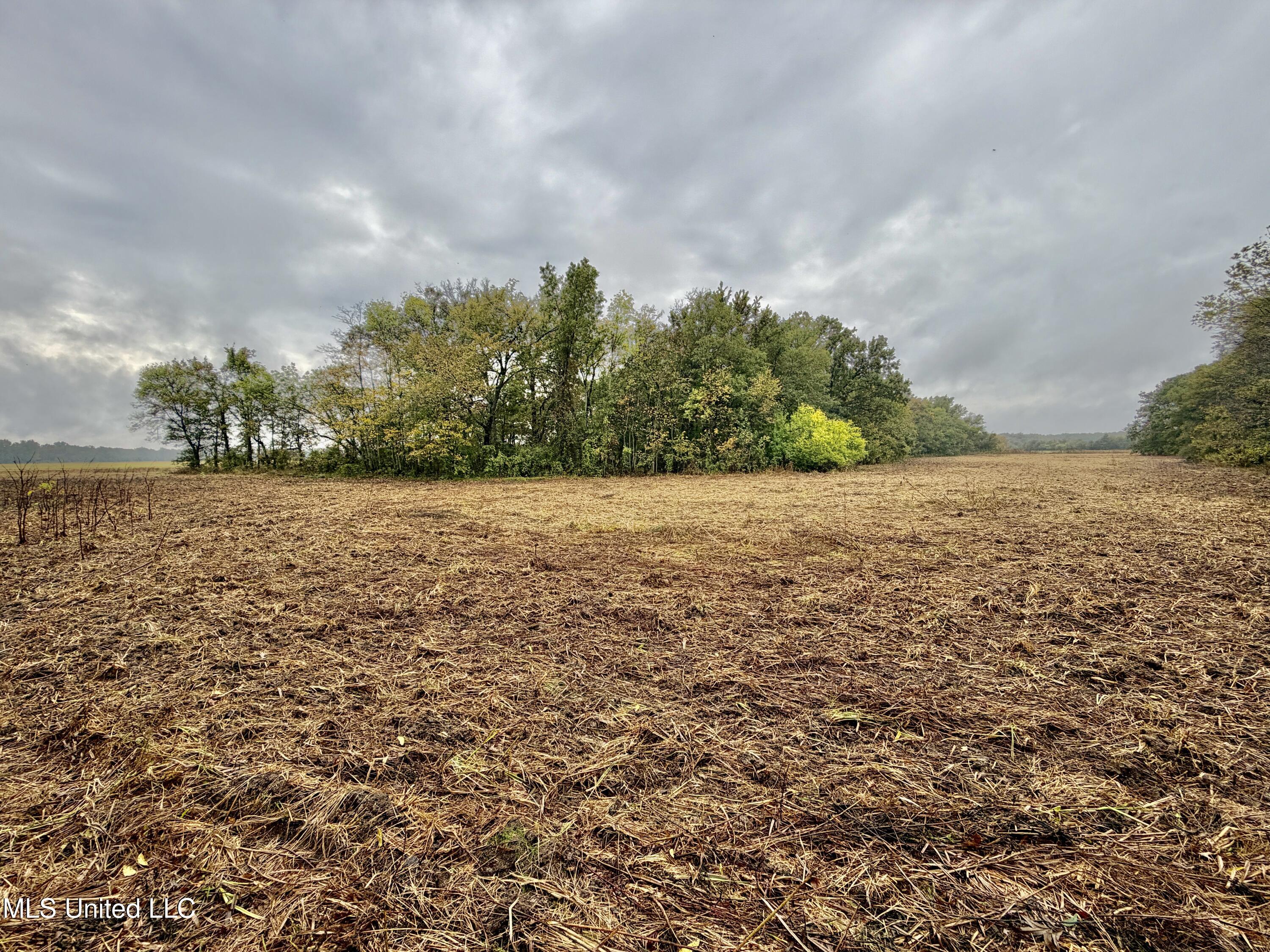 Youngblood Road Dundee, MS 38626 - Photo 10 of 10 IMG_0328