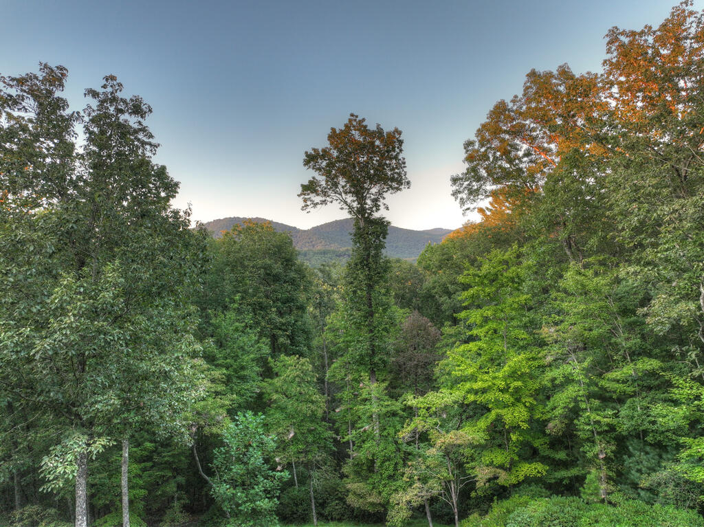 169 Walnut Mountain Road Ellijay, GA 30536 - Photo 58 of 77 Gallery Image 58