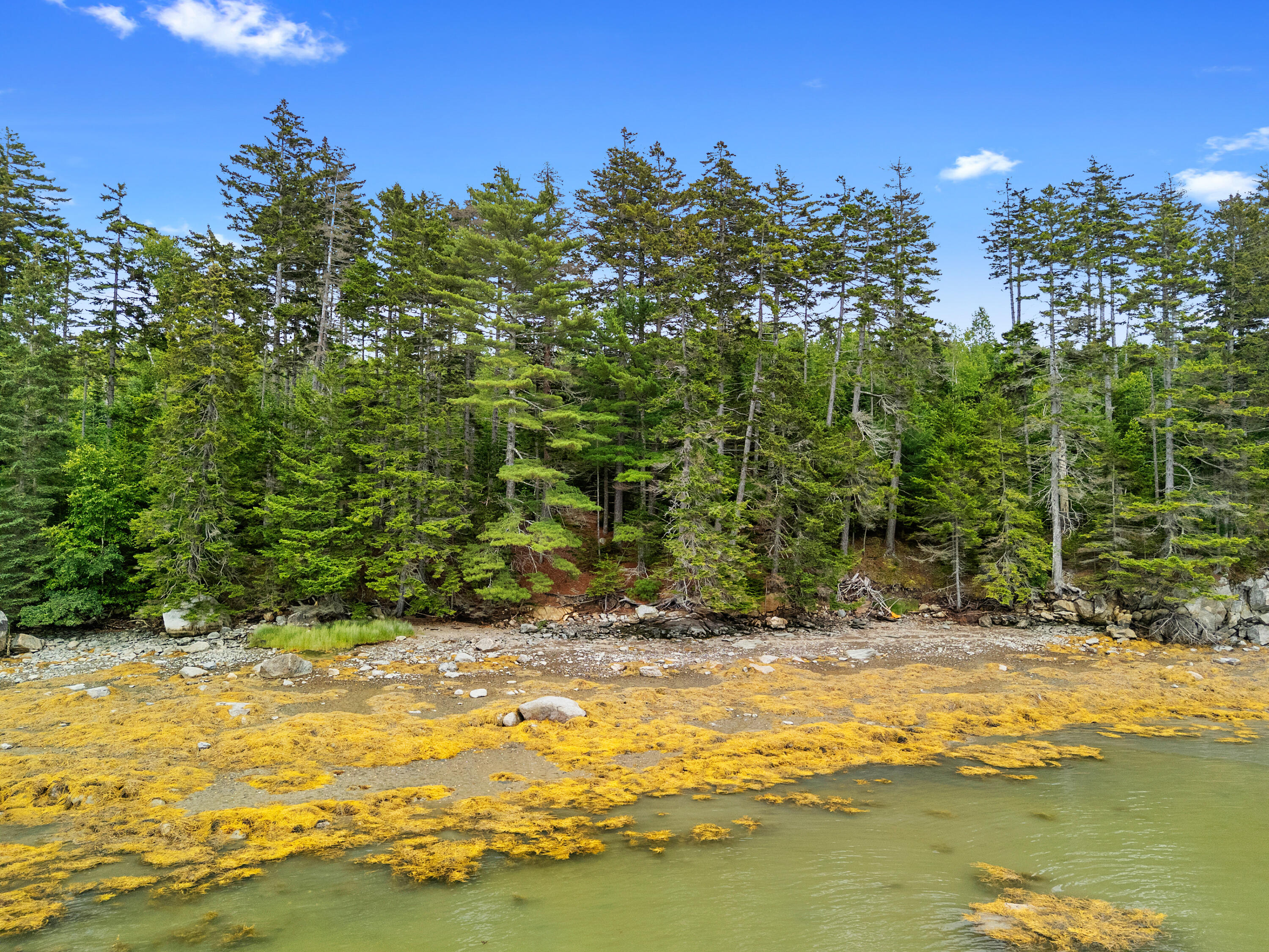 7 Ocean Ridge Road Cushing, ME 04563 - Photo 5 of 13 DJI_20250711162343_0945_D