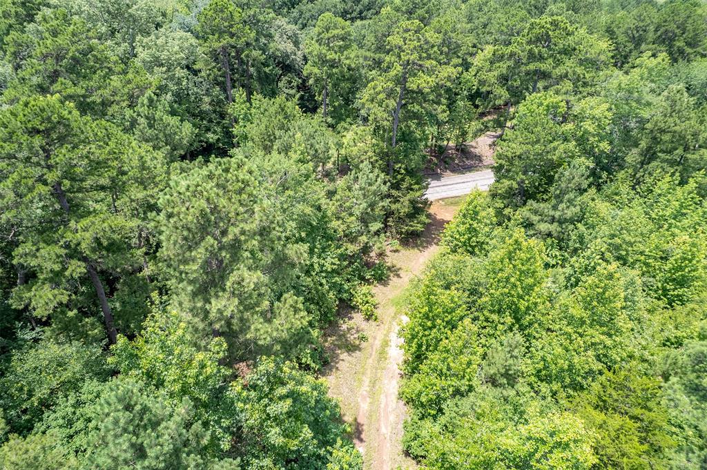0 Cr 353 Tyler Tx 75708 Tyler, TX 75708 - Photo 11 of 18 a view of a forest with a tree