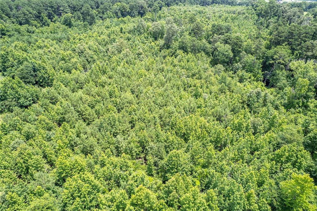 0 Cr 353 Tyler Tx 75708 Tyler, TX 75708 - Photo 12 of 18 a view of a green field