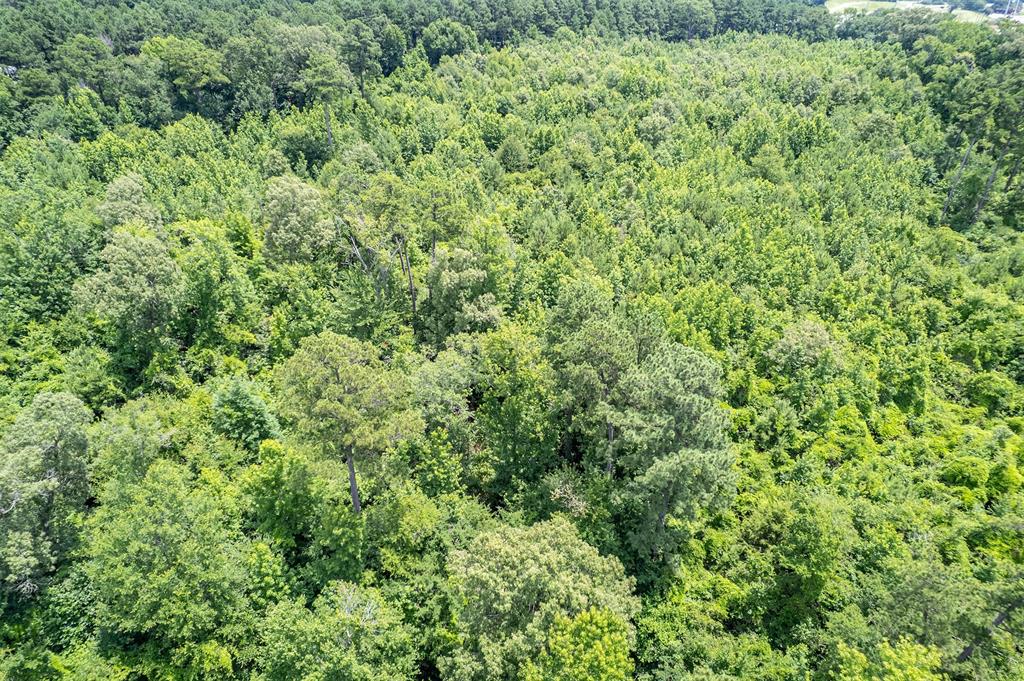 0 Cr 353 Tyler Tx 75708 Tyler, TX 75708 - Photo 13 of 18 with a small yard