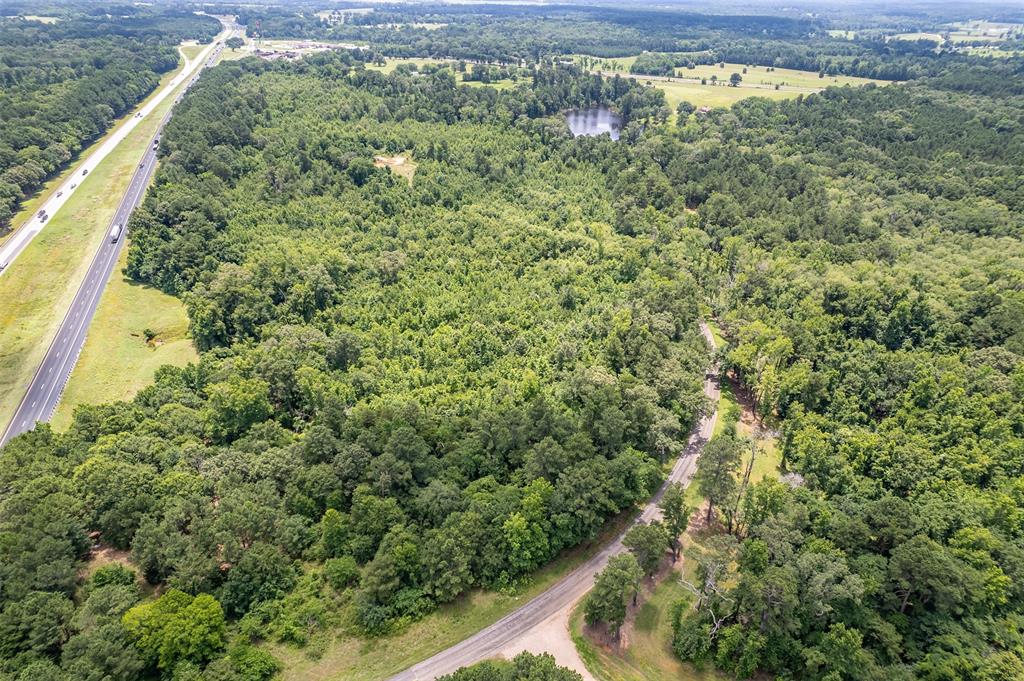 0 Cr 353 Tyler Tx 75708 Tyler, TX 75708 - Photo 2 of 18 a view of a forest from a window