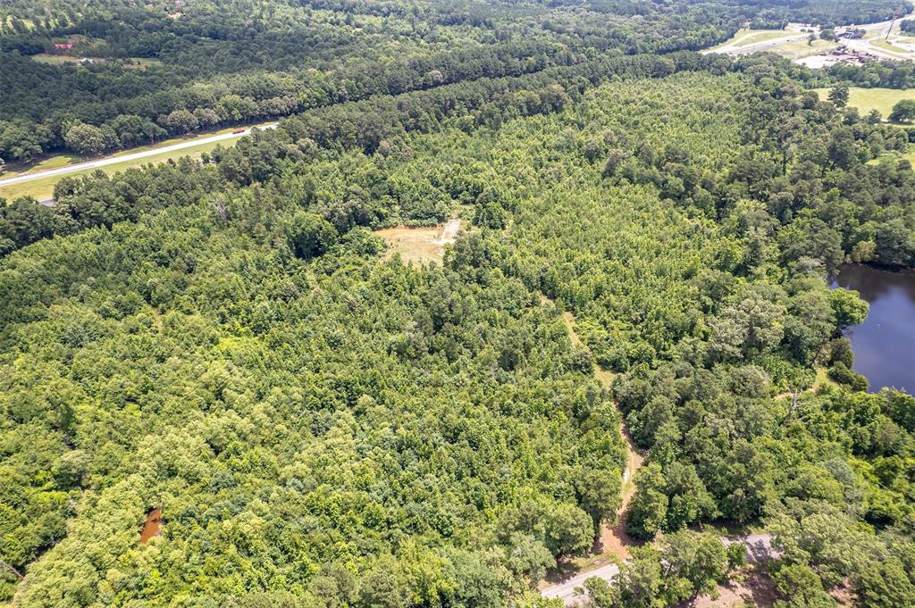 0 Cr 353 Tyler Tx 75708 Tyler, TX 75708 - Photo 4 of 18 a view of a large yard with lots of bushes