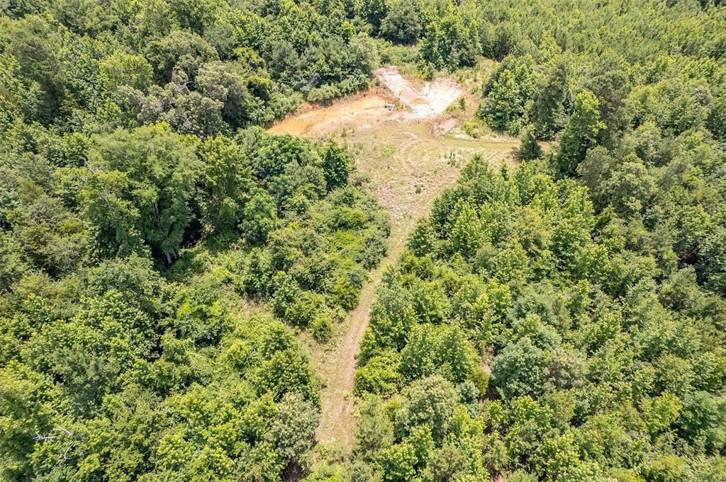 0 Cr 353 Tyler Tx 75708 Tyler, TX 75708 - Photo 7 of 18 a view of a yard