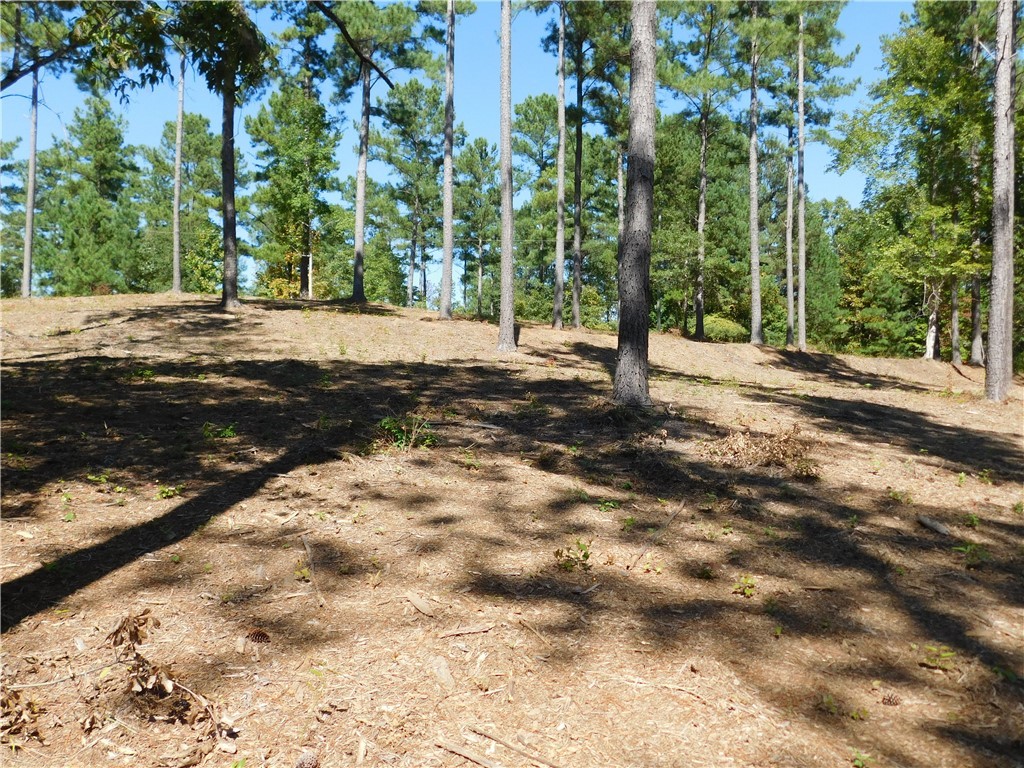 Lot 20 Old Chapman Bridge Road Salem, SC 29676 - Photo 1 of 7 Gallery Image 1