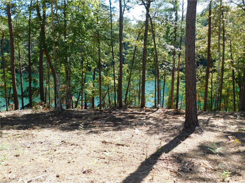 Lot 20 Old Chapman Bridge Road Salem, SC 29676 - Photo 2 of 7 Gallery Image 2