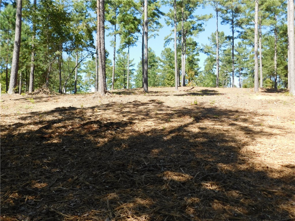 Lot 20 Old Chapman Bridge Road Salem, SC 29676 - Photo 3 of 7 Gallery Image 3