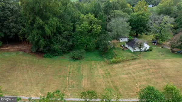 a view of a yard with large trees