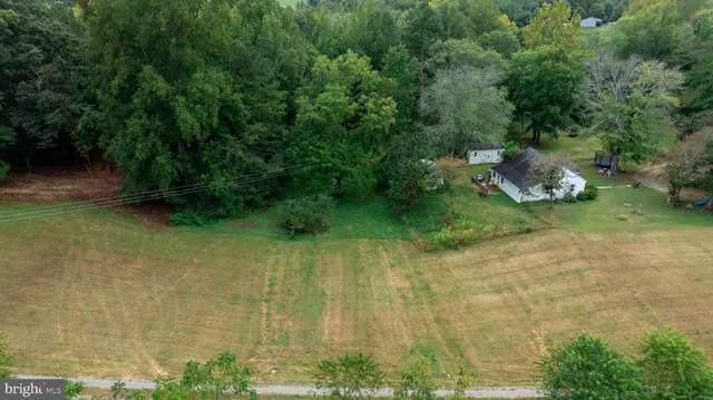 a view of a yard with large trees