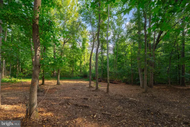 a view of backyard with green space