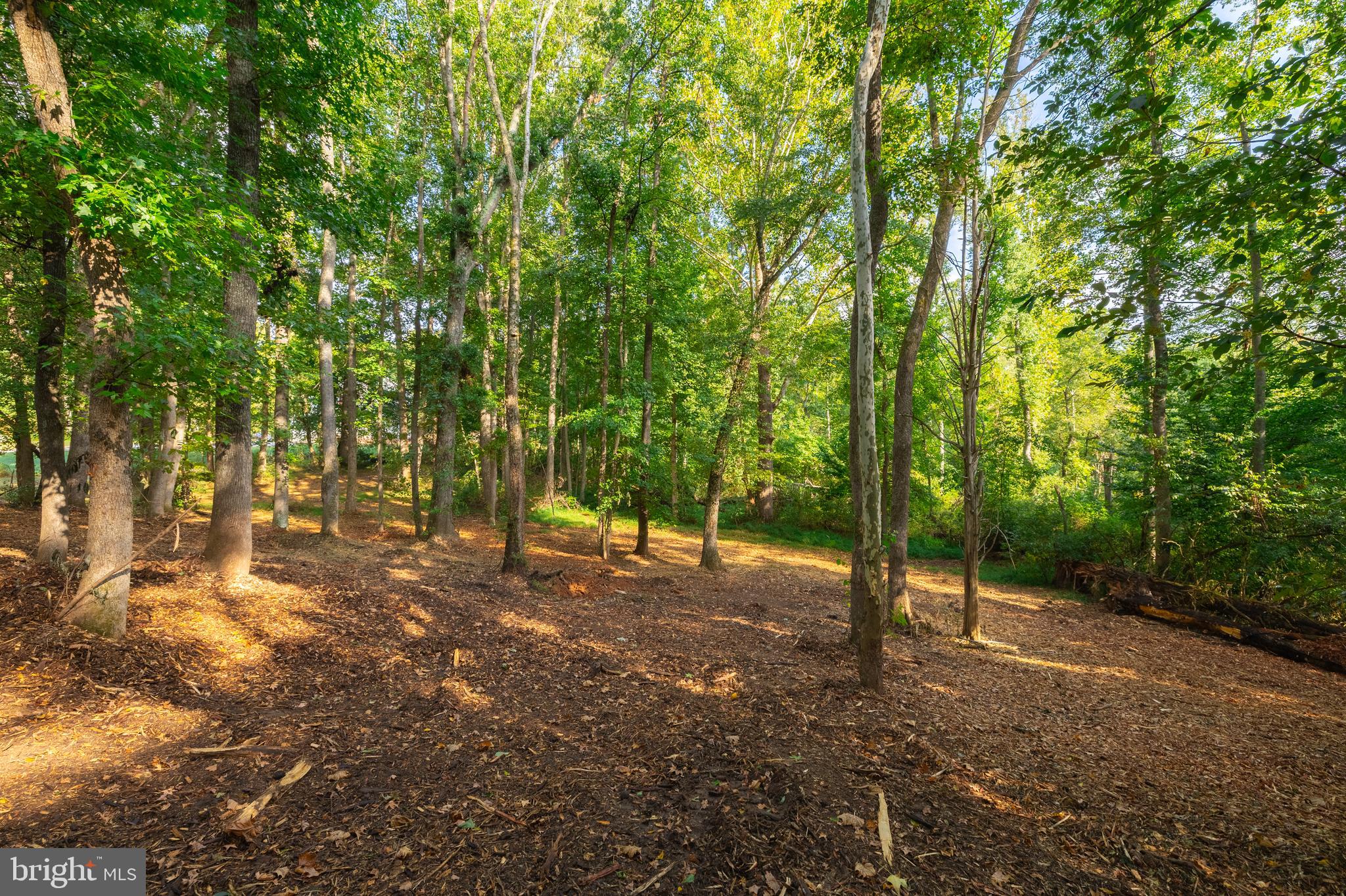 16300 Pleasant Mill Road Montpelier, VA 23192 - Photo 16 of 27