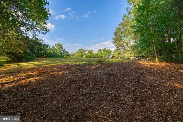 a view of a tree in the middle of a yard