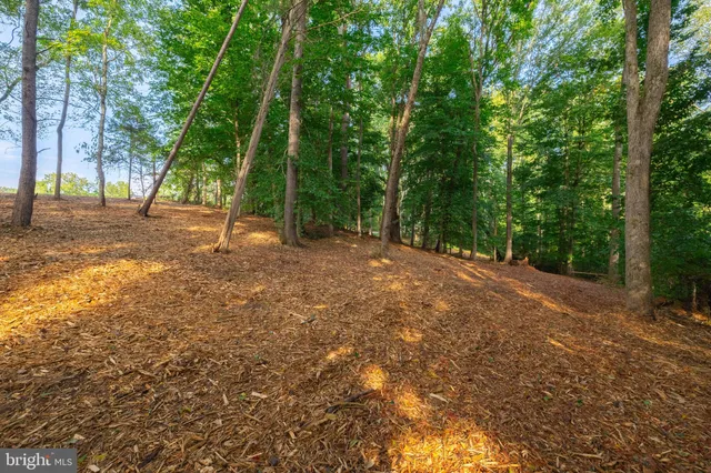 a view of outdoor space and green space