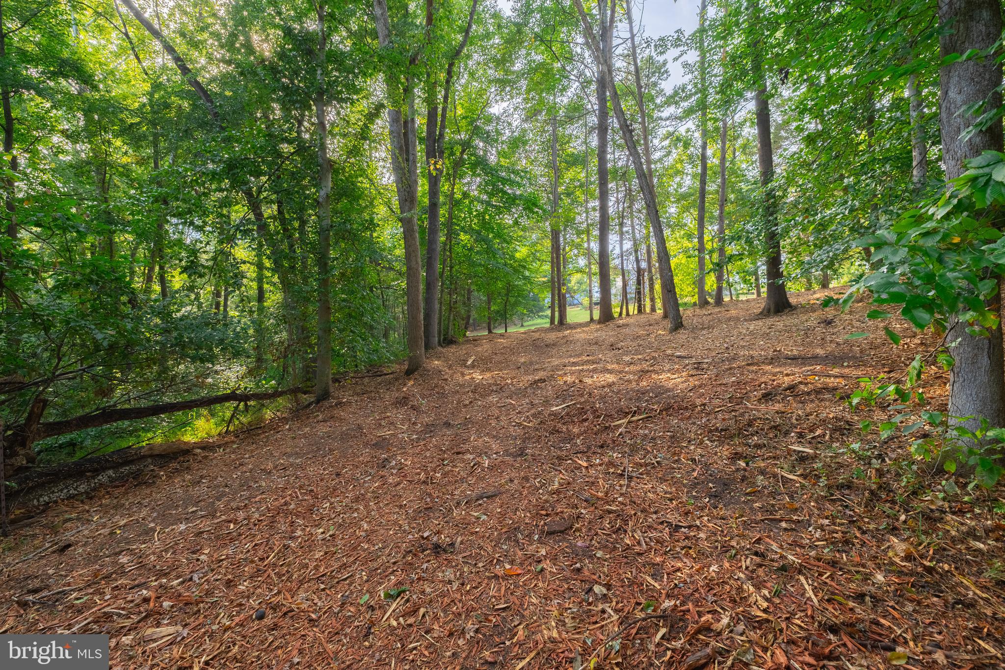 16300 Pleasant Mill Road Montpelier, VA 23192 - Photo 20 of 27