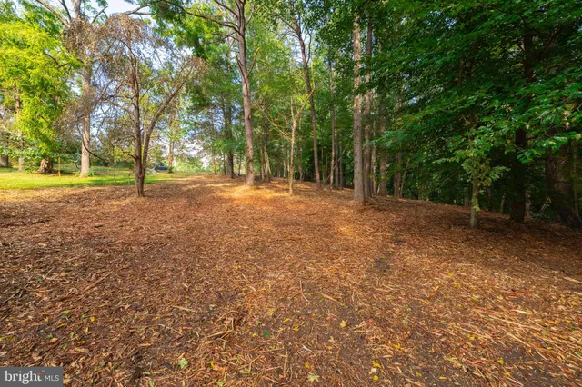 a view of a lake with a yard