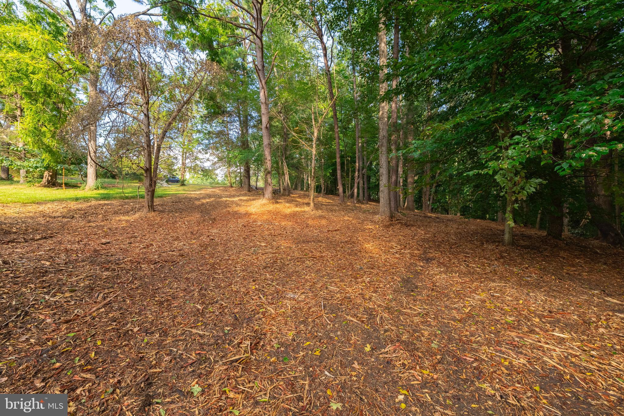 16300 Pleasant Mill Road Montpelier, VA 23192 - Photo 22 of 27