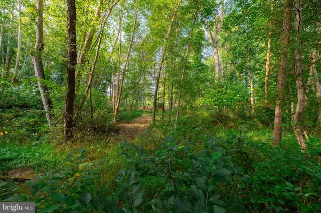 $109,900 | 16300 Pleasant Mill Road, Montpelier, VA 23192