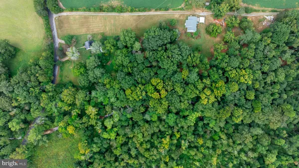 a view of a lush green field