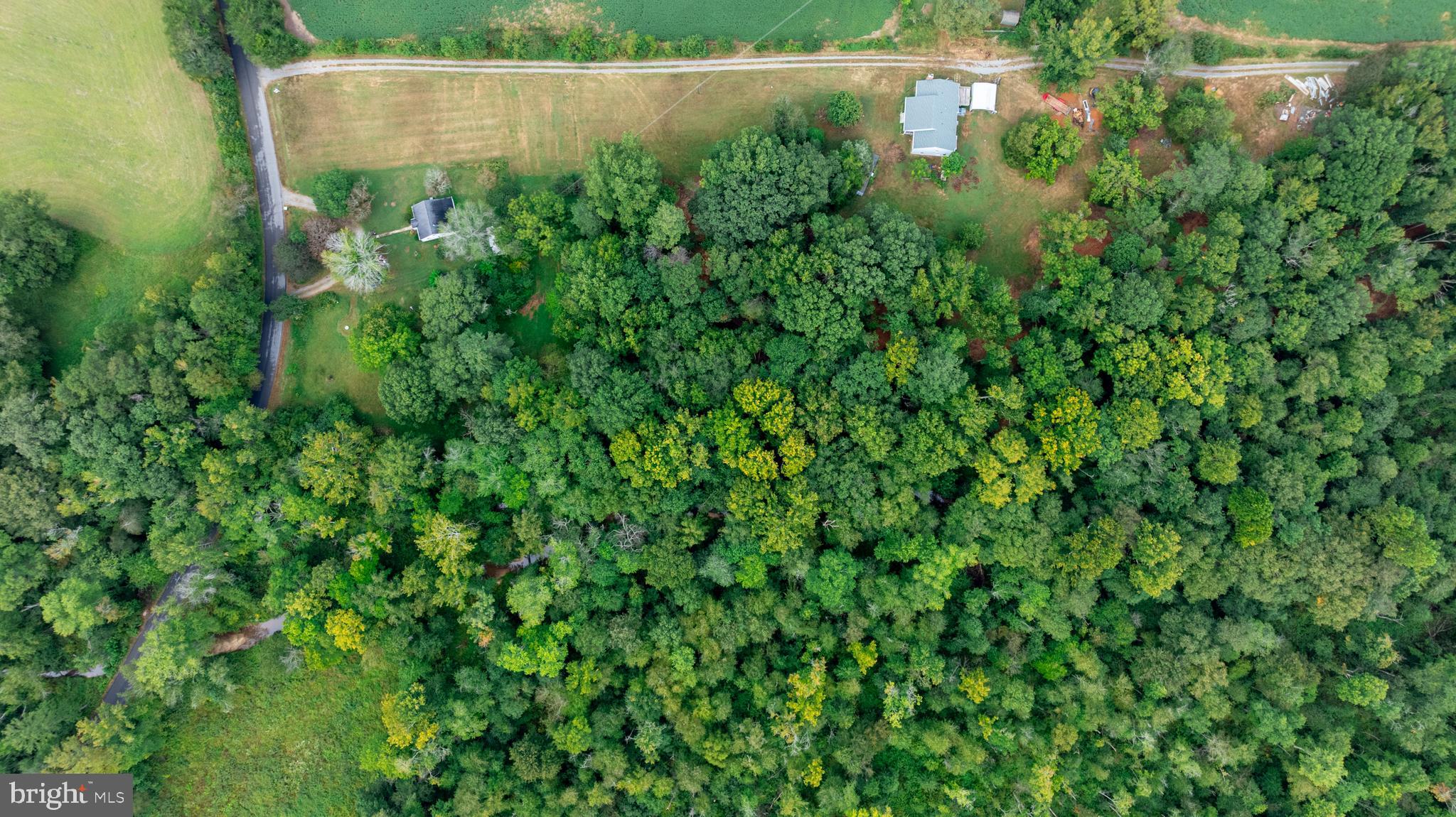 16300 Pleasant Mill Road Montpelier, VA 23192 - Photo 5 of 27