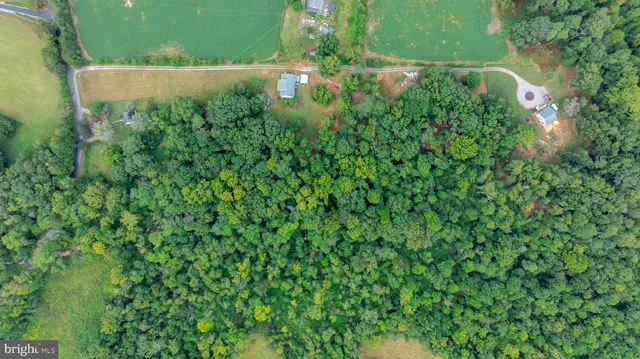 a plant is in front of yard