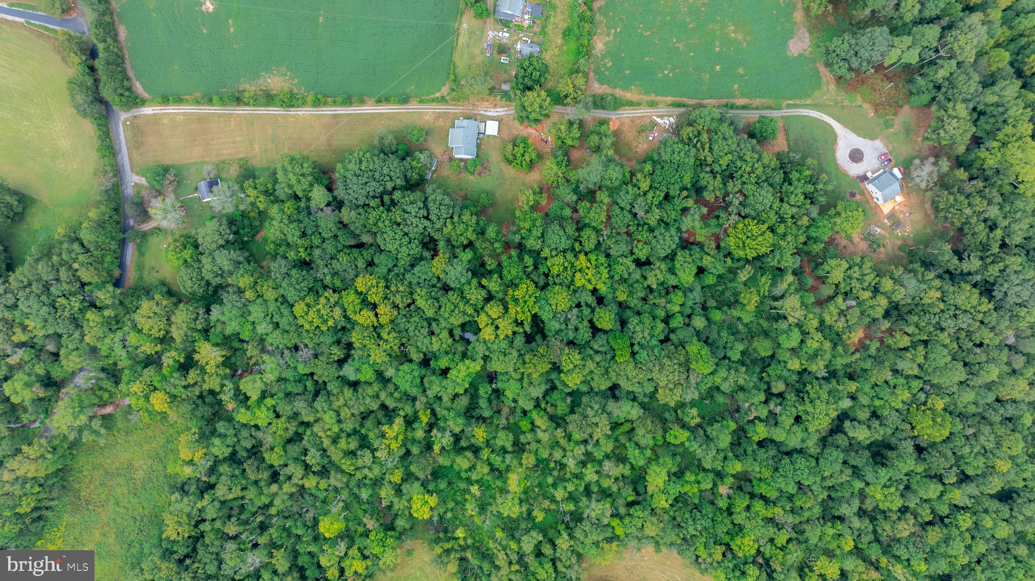 16300 Pleasant Mill Road Montpelier, VA 23192 - Photo 7 of 27