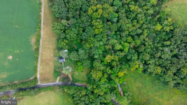 a view of a garden