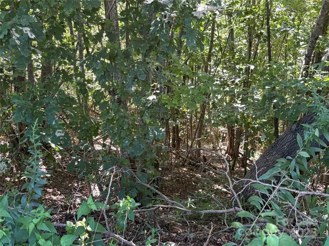 $19,900 | 0 Azule Ridge Drive, Bostic, NC 28018