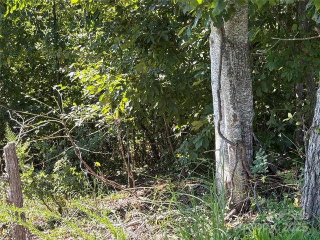 $19,900 | 0 Azule Ridge Drive, Bostic, NC 28018