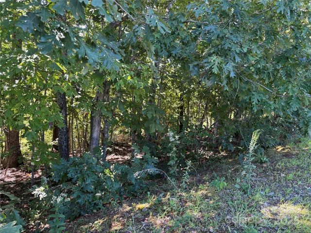 $19,900 | 0 Azule Ridge Drive, Bostic, NC 28018