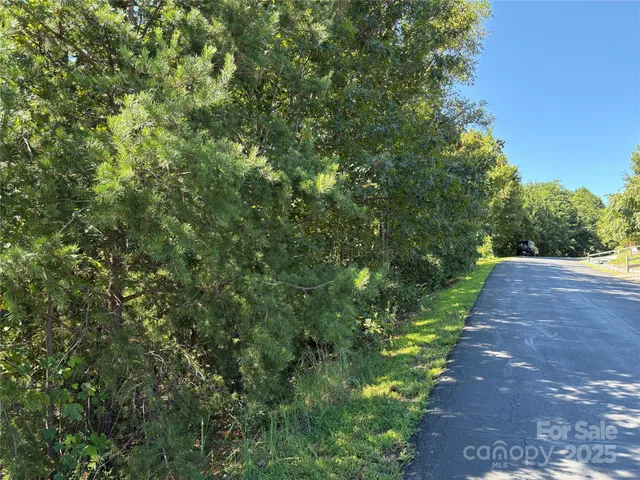 $19,900 | 0 Azule Ridge Drive, Bostic, NC 28018