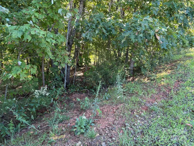 $19,900 | 0 Azule Ridge Drive, Bostic, NC 28018