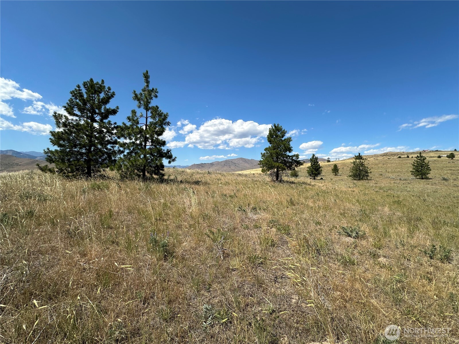 -tbd Peterson Rnch Road Pateros, WA 98846 - Photo 14 of 20