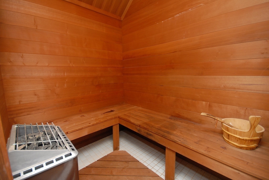 53 Sarah Way Concord, MA 01742 - Photo 28 of 42 a view of roof deck with wooden floor and a potted plant