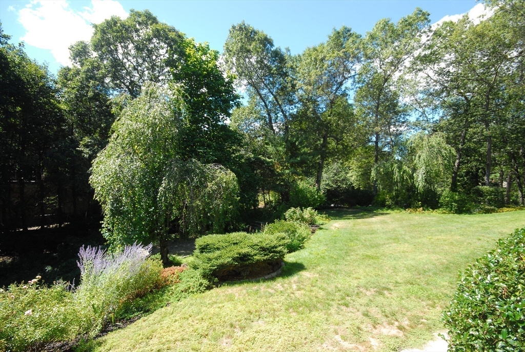 53 Sarah Way Concord, MA 01742 - Photo 37 of 42 a view of a garden with plants