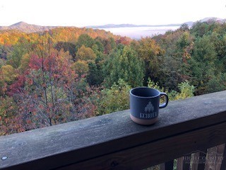 942 Ridge Haven Parkway, Unit R1211 Banner Elk, NC 28604 - Photo 32 of 45 a view of a vase of trees sitting on a wooden deck
