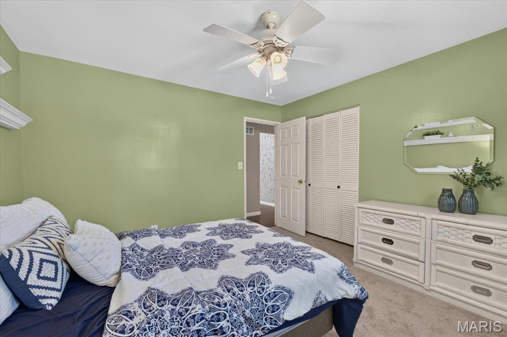 306 Portwind Place Ballwin, MO 63021 - Photo 21 of 44 Gallery Image 21
