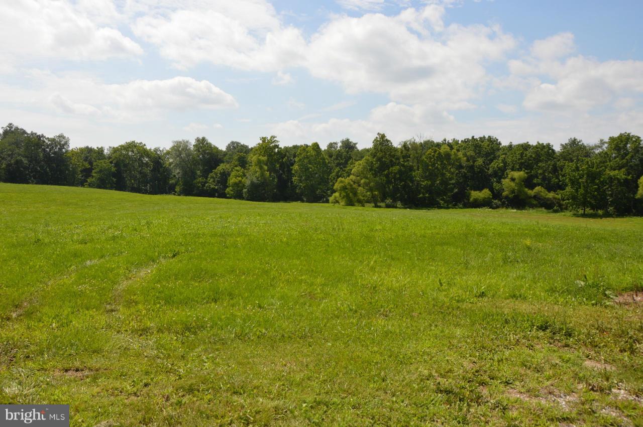 5219 Frock Road Taneytown, MD 21787 - Photo 4 of 17 a view of field with trees in the background