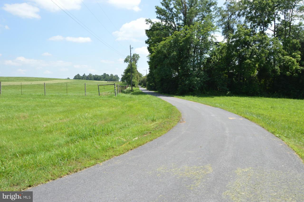 5219 Frock Road Taneytown, MD 21787 - Photo 5 of 17 a view of a field of grass and trees