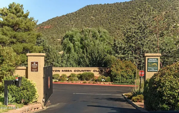 view of a street with flower plants