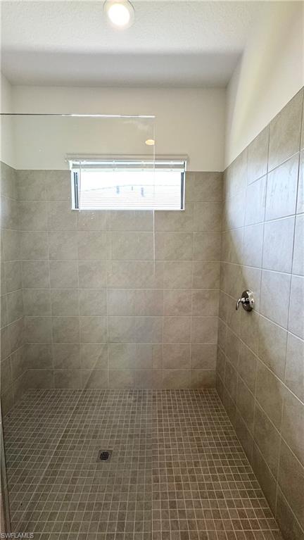 5089 Panella Avenue Ave Maria, FL 34142 - Photo 7 of 46 a bathroom with a shower