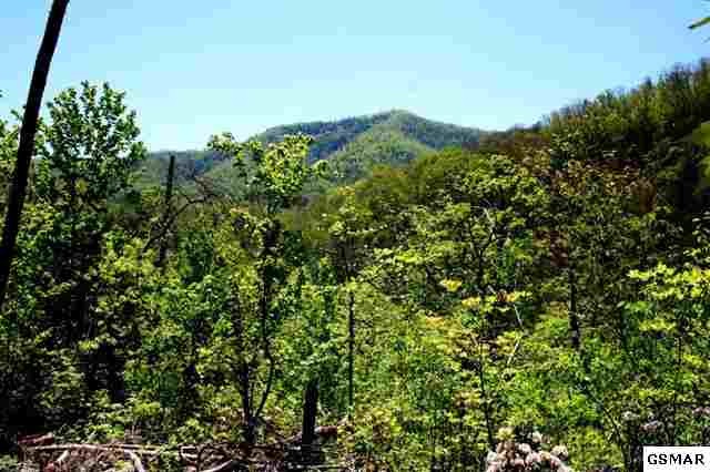 38 Morning Dove Way Sevierville, TN 37862 - Photo 1 of 1