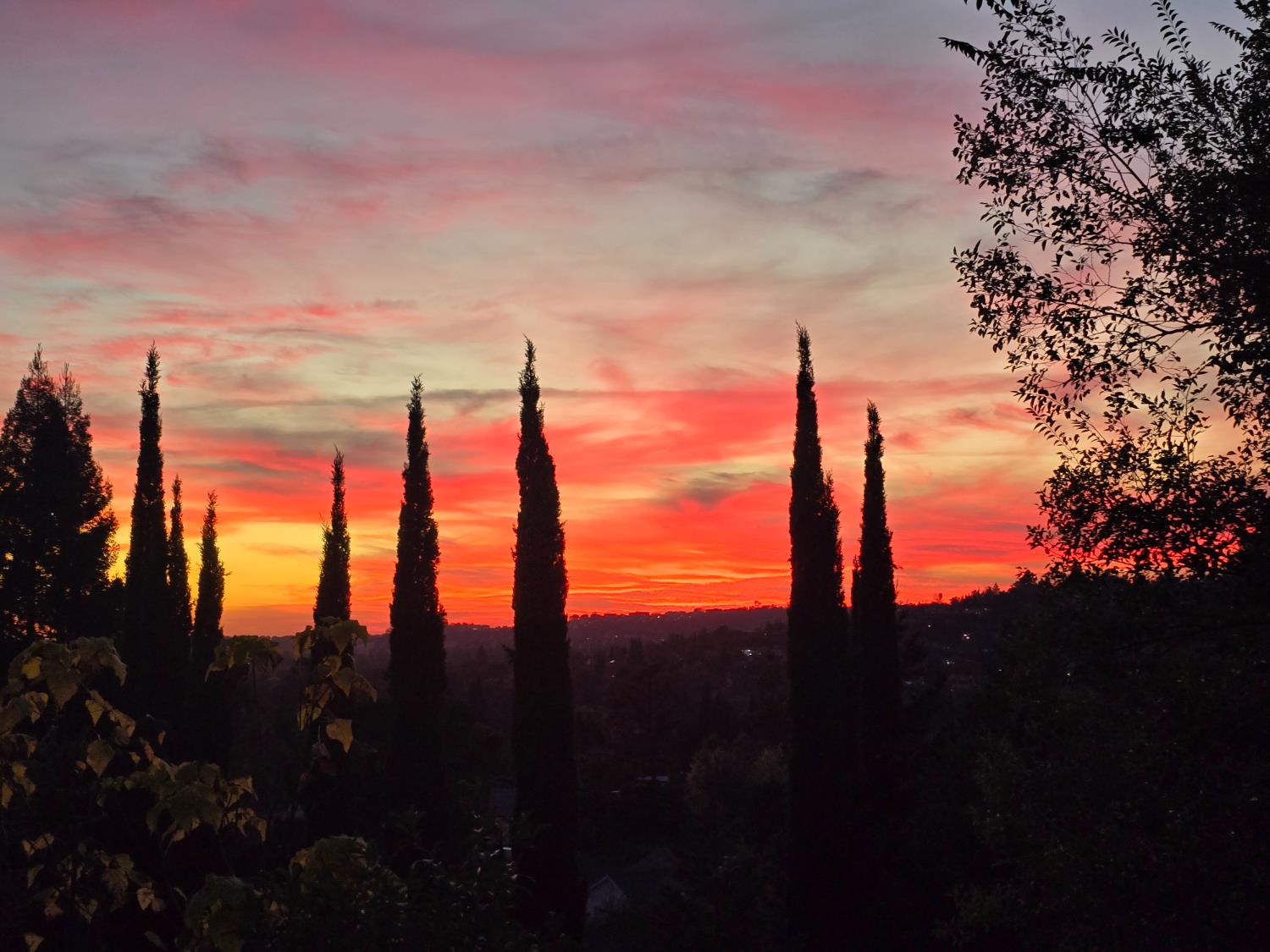 3388 Sudbury Road Cameron Park, CA 95682 - Photo 35 of 55