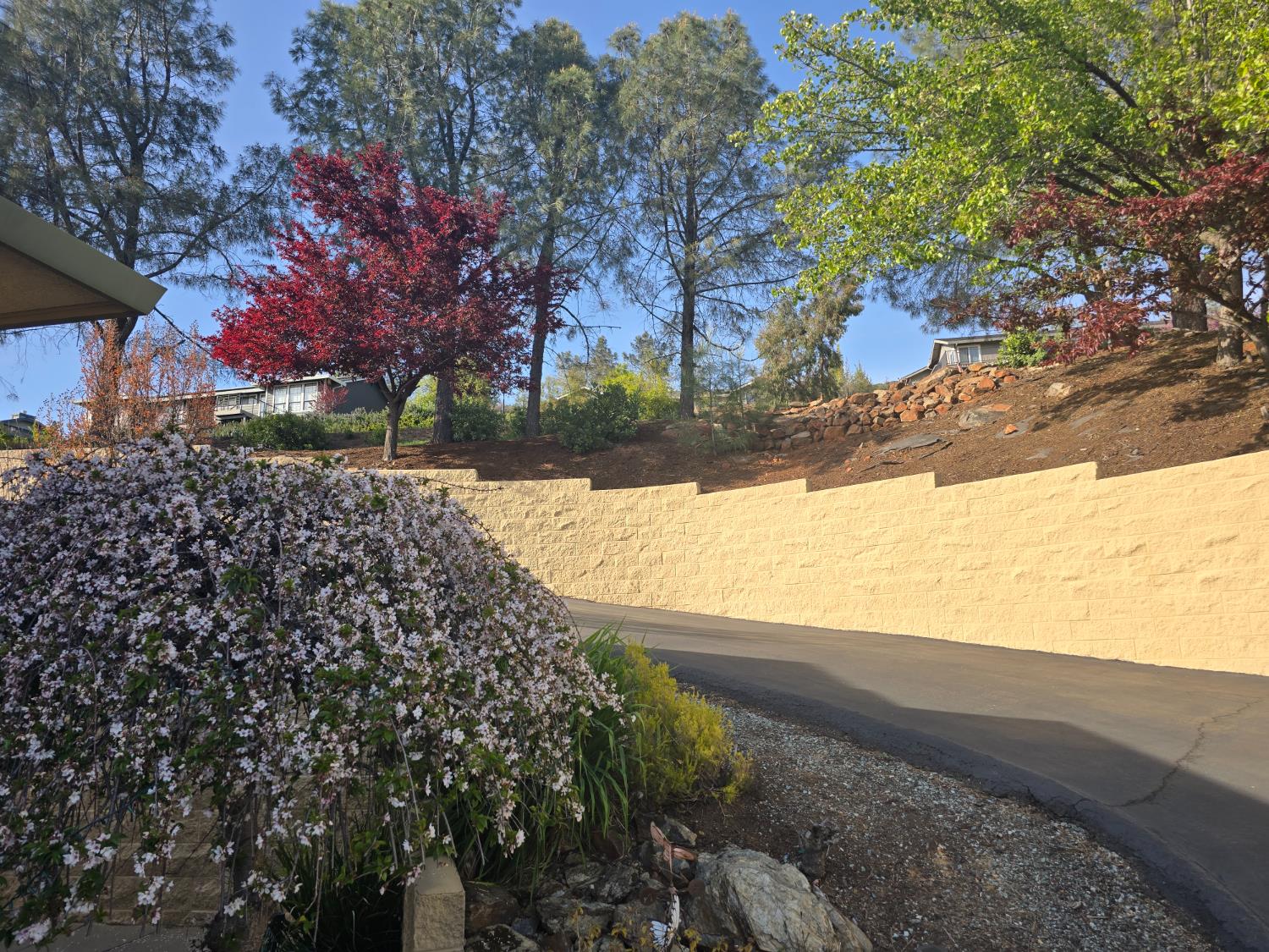3388 Sudbury Road Cameron Park, CA 95682 - Photo 44 of 55 a view of a yard with wooden fence