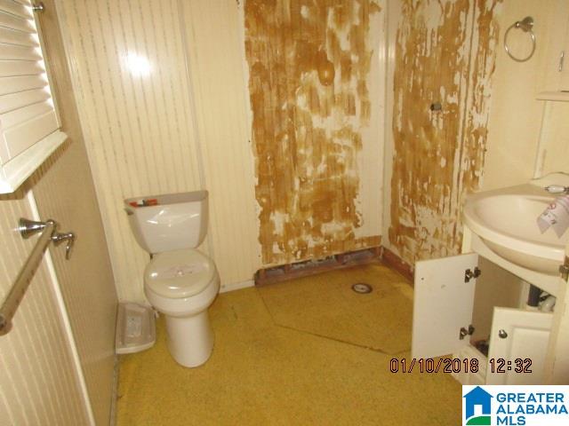 206 Old Macedonia Ragland, AL 35131 - Photo 8 of 13