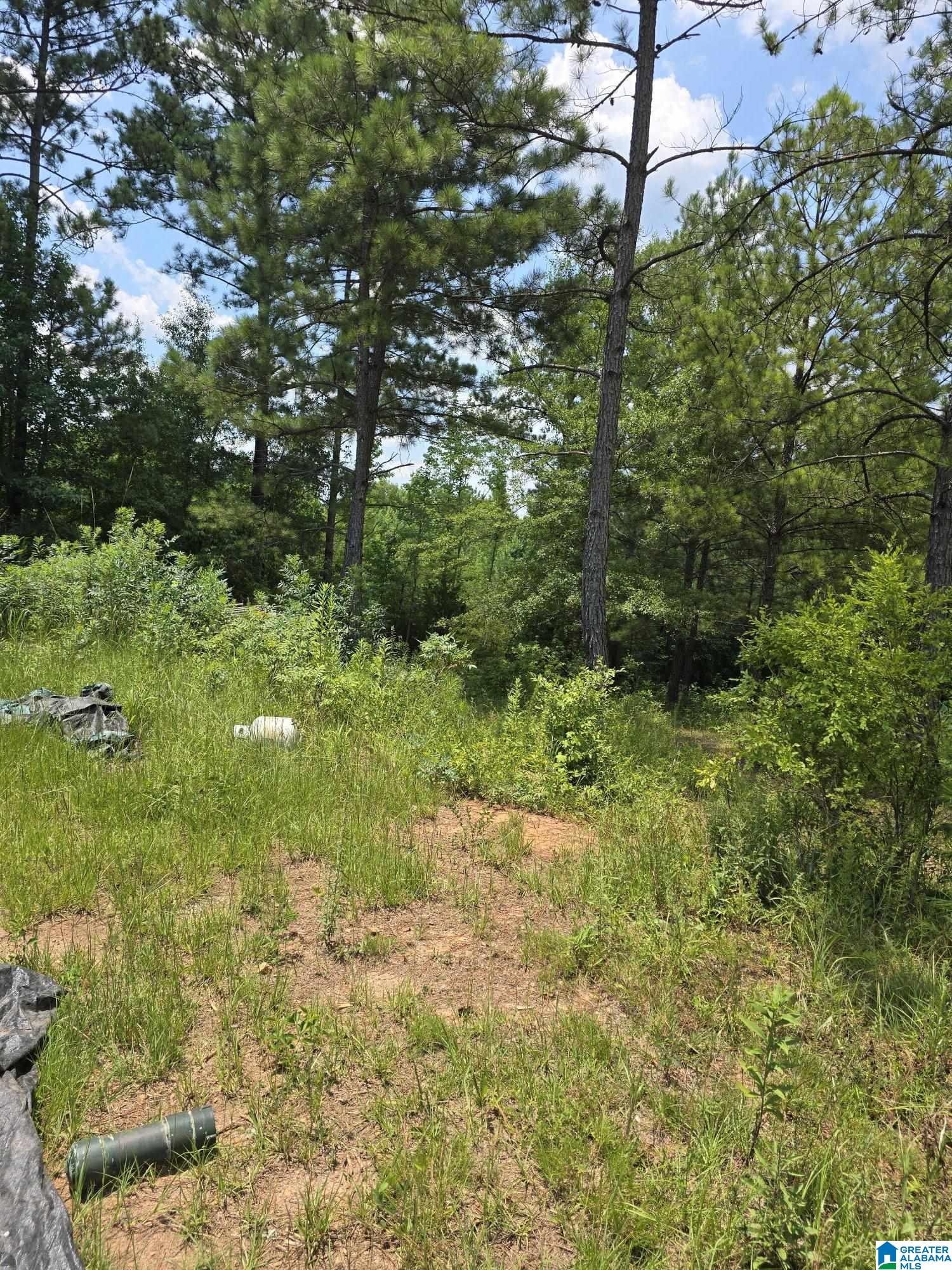 0 County Road 265, Unit 1 Clanton, AL 35046 - Photo 1 of 1
