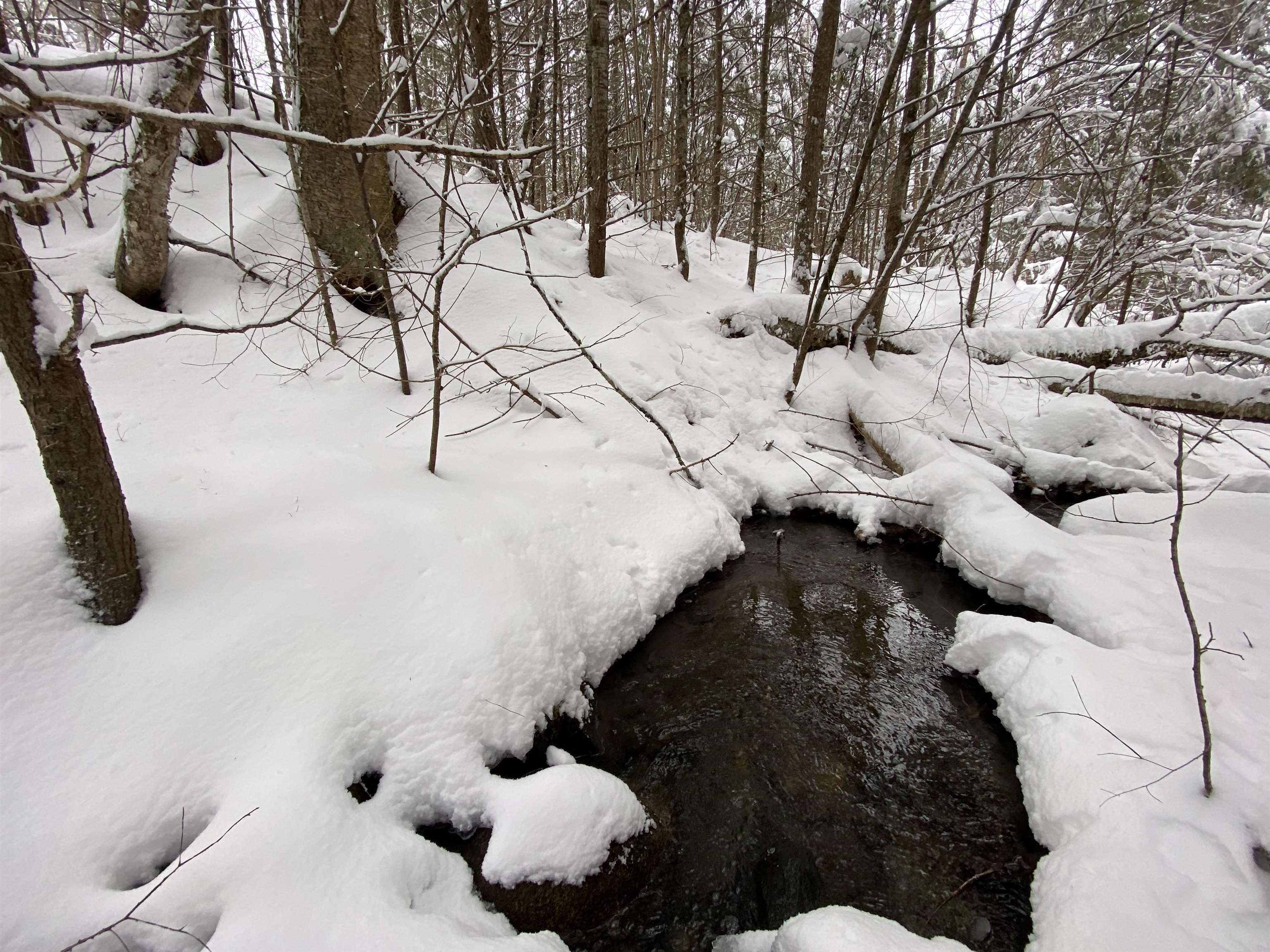 0 Fall Brook Road, Unit 5 Lyndonville, VT 05851 - Photo 8 of 10 Gallery Image 8