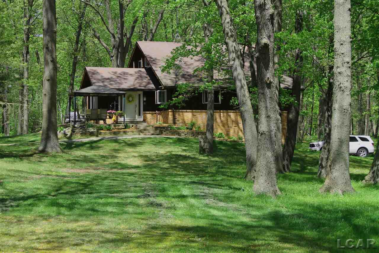 7310 Secor Road Petersburg, MI 49270 - Photo 2 of 31